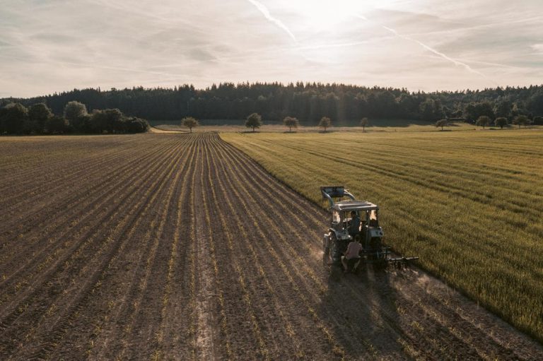 Alte Schäferei - Bioland-Hof Förg - Home landwirtschaftlicher_betrieb_biohuehner_augsburg-bergheim