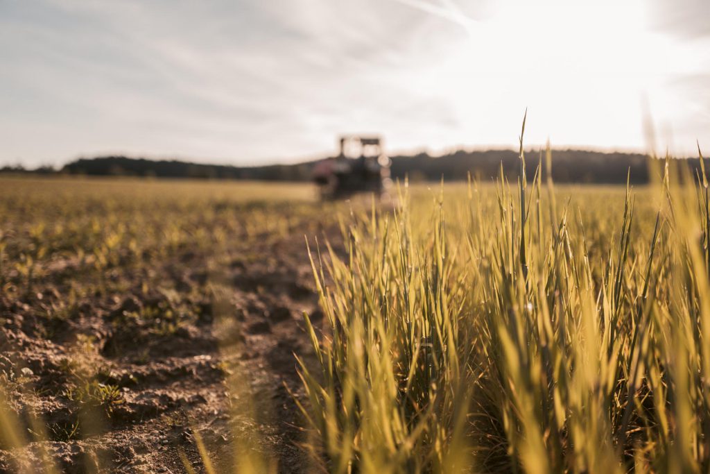 oekologische tierzucht bioregionale produkte huehner